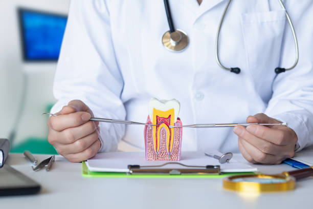 Best Emergency Treatment for Dental Infections or Abscesses in Newstle, CA